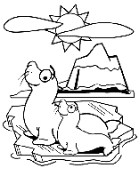 Seal coloring page